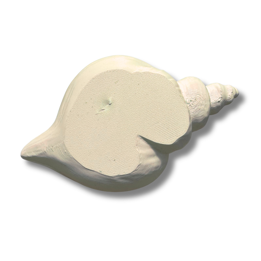 Defected Shell Trinket Dish