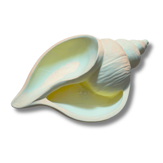 Defected Shell Trinket Dish